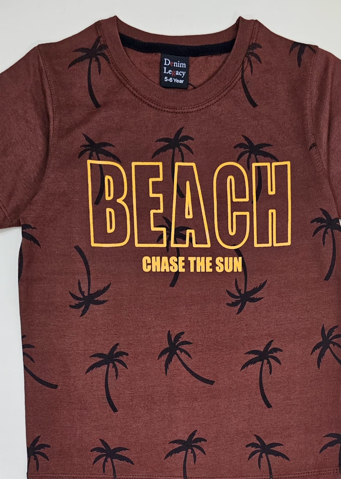 Boys Fashion T-shirts cotton jersey Brown. Full body print