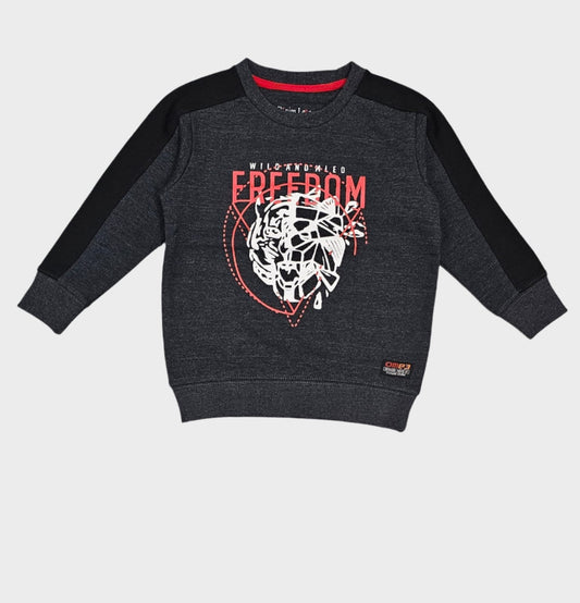 Freedom Boys Sweatshirt